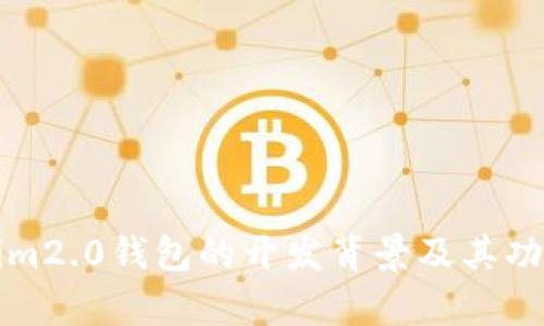 Tokenim2.0钱包的开发背景及其功能探析