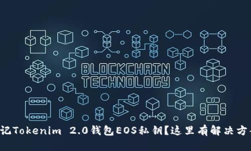 忘记Tokenim 2.0钱包EOS私钥？这里有解决方案！