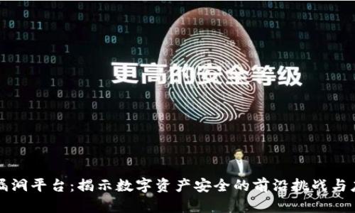 区块链漏洞平台：揭示数字资产安全的前沿挑战与应对策略