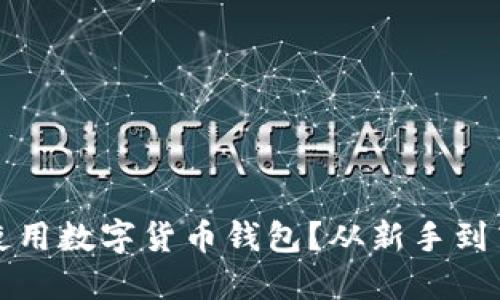 退休人员如何安全使用数字货币钱包？从新手到高级用户的全面指南