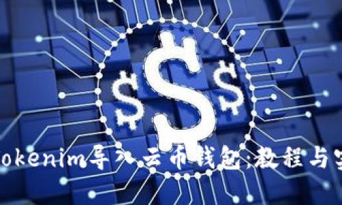 如何将Tokenim导入云币钱包：教程与实用技巧