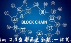 如何使用Tokenim 2.0查看历史余额：一站式指南与实