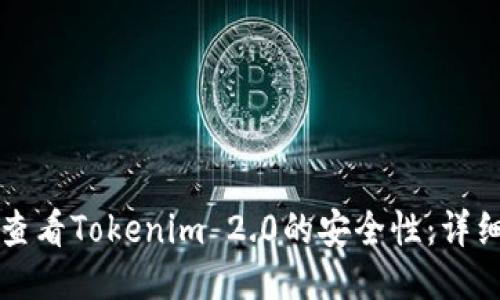 如何查看Tokenim 2.0的安全性：详细指南