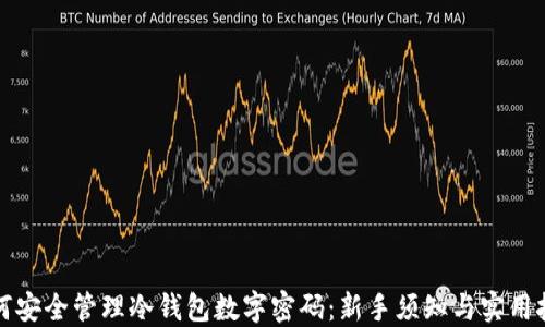 
如何安全管理冷钱包数字密码：新手须知与实用技巧
