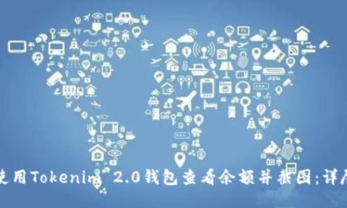 如何使用Tokenim 2.0钱包查看余额并截图：详尽指南
