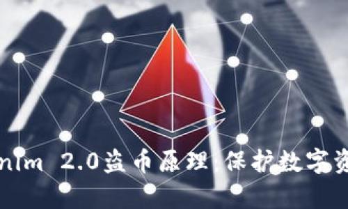 解析Tokenim 2.0盗币原理：保护数字资产的陷阱