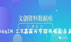 探索TokenIM 2.0在国内市场的崛起与未来趋势