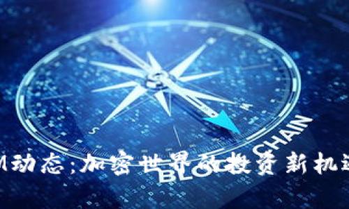 最新TokenIM动态：加密世界的投资新机遇与风险分析