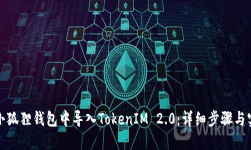 如何在小狐狸钱包中导入TokenIM 2.0：详细步骤与实用技巧