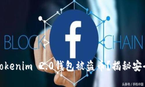 如何防止Tokenim 2.0钱包被盗币？揭秘安全防护技巧