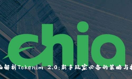 全面解析Tokenim 2.0：新手玩家必备的策略与技巧