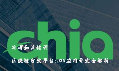 思考和关键词

区块链分发平台：iOS应用开发全解析