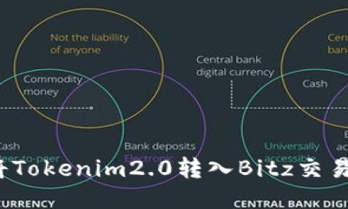 如何将Tokenim2.0转入Bitz交易平台？