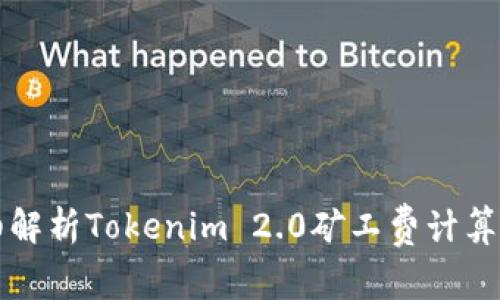 详细解析Tokenim 2.0矿工费计算方式