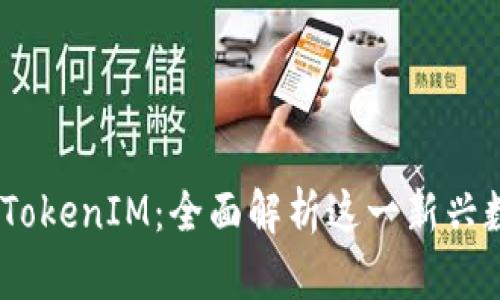 KCasha数字钱包TokenIM：全面解析这一新兴数字资产管理工具