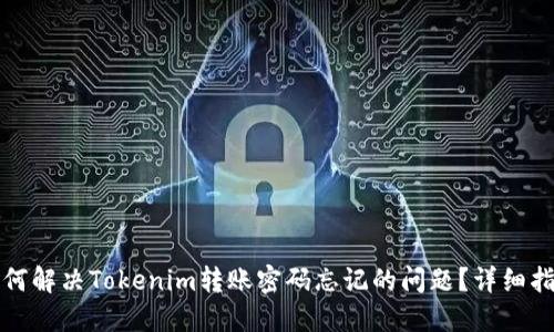 如何解决Tokenim转账密码忘记的问题？详细指南