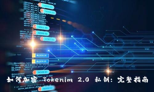 如何加密 Tokenim 2.0 私钥: 完整指南