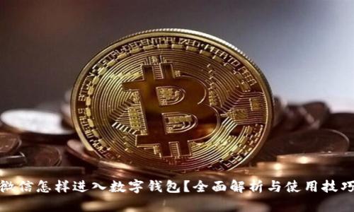微信怎样进入数字钱包？全面解析与使用技巧