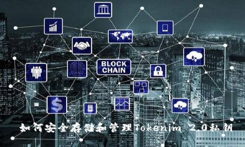  如何安全存储和管理Tokenim 2.0私钥