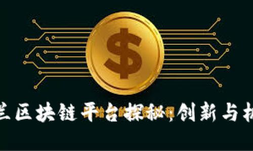 波兰区块链平台探秘:创新与机遇