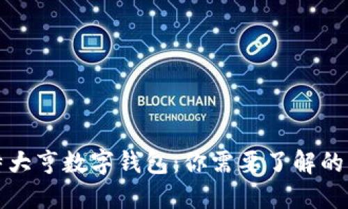 比特大亨数字钱包：你需要了解的一切