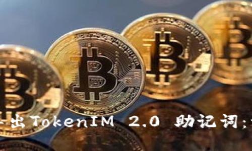 如何安全导出TokenIM 2.0 助记词：一步步指南
