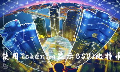 如何使用Tokenim显示BSV(比特币SV)