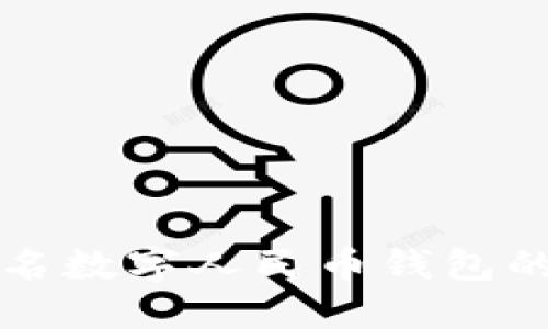 全面探讨匿名数字人民币钱包的功能与应用