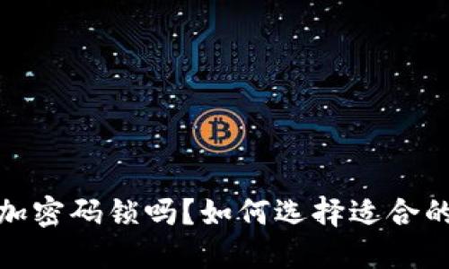 钱包可以加密码锁吗？如何选择适合的安全措施