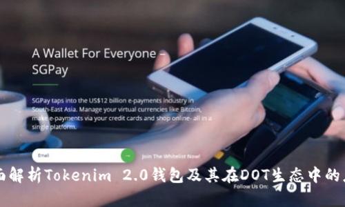 全面解析Tokenim 2.0钱包及其在DOT生态中的应用