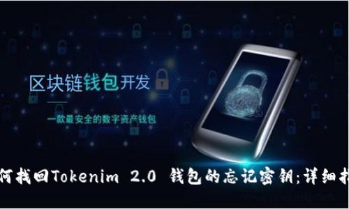 如何找回Tokenim 2.0 钱包的忘记密钥：详细指南