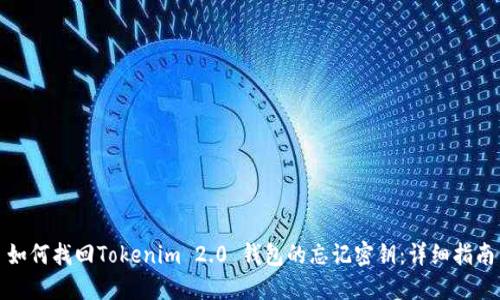如何找回Tokenim 2.0 钱包的忘记密钥：详细指南