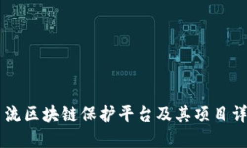 主流区块链保护平台及其项目详解