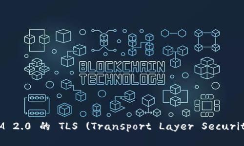 ### TokenIM 2.0 的 TLS (Transport Layer Security) 解析与应用