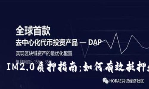 波卡Token IM2.0质押指南：如何有效抵押和收益提升