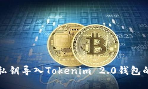 如何通过私钥导入Tokenim 2.0钱包的详细指南