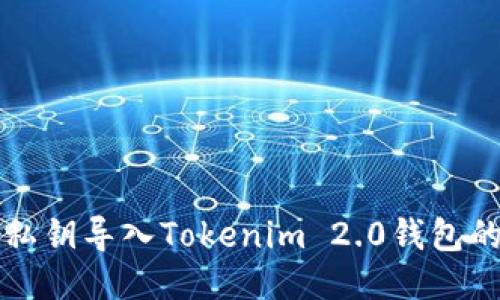 如何通过私钥导入Tokenim 2.0钱包的详细指南