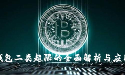 数字钱包二类超限的全面解析与应用前景