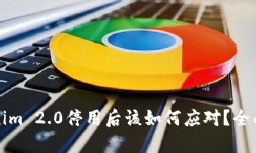 Tokenim 2.0停用后该如何应对？全面指南