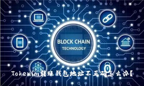 Tokenim转账钱包地址不正确怎么办？
