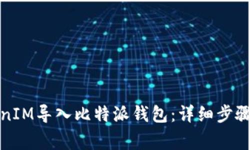 如何将TokenIM导入比特派钱包:详细步骤与注意事项