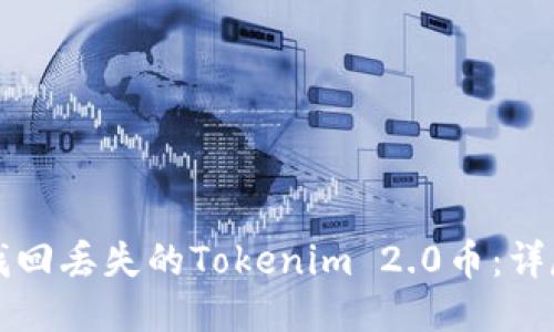 如何找回丢失的Tokenim 2.0币：详尽指南