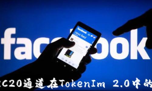 
深入解析HRC20通道在TokenIm 2.0中的应用与优势