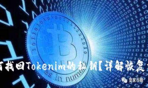 如何找回Tokenim的私钥？详解恢复方法