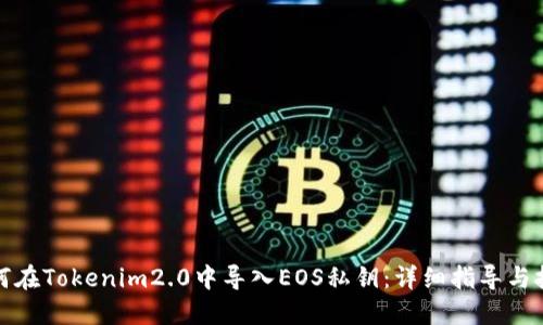 如何在Tokenim2.0中导入EOS私钥：详细指导与技巧