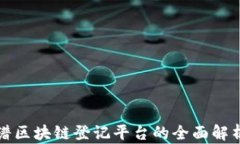 数信络谱区块链登记平台的全面解析与