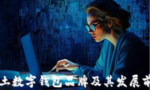 英国本土数字钱包品牌及其发展前景分析