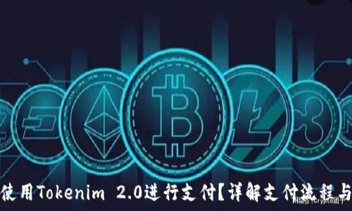   
如何使用Tokenim 2.0进行支付？详解支付流程与技巧