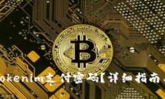 如何找回Tokenim支付密码？详细指南与