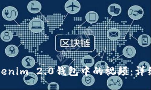 如何下载Tokenim 2.0钱包中的视频：详细指南与技巧